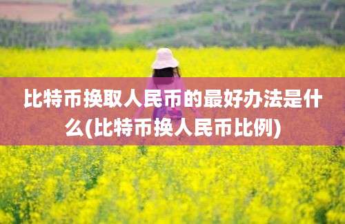 比特币换取人民币的最好办法是什么(比特币换人民币比例)