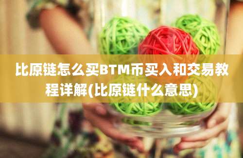 比原链怎么买BTM币买入和交易教程详解(比原链什么意思)