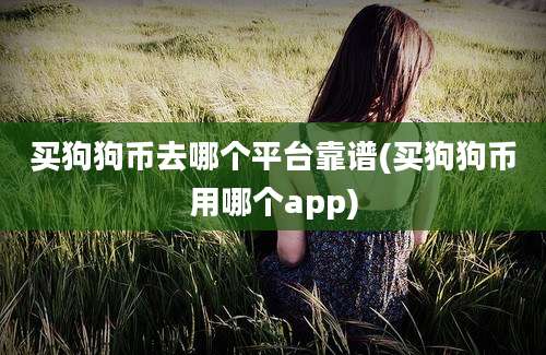 买狗狗币去哪个平台靠谱(买狗狗币用哪个app)