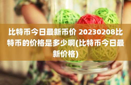 比特币今日最新币价 20230208比特币的价格是多少啊(比特币今日最新价格)