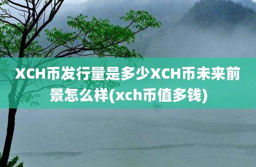 XCH币发行量是多少XCH币未来前景怎么样(xch币值多钱)