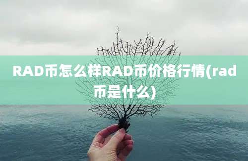 RAD币怎么样RAD币价格行情(rad币是什么)