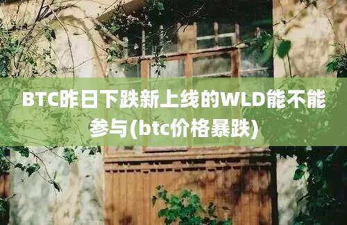 BTC昨日下跌新上线的WLD能不能参与(btc价格暴跌)