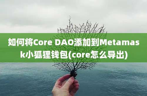 如何将Core DAO添加到Metamask小狐狸钱包(core怎么导出)