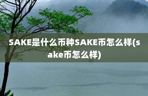 SAKE是什么币种SAKE币怎么样(sake币怎么样)