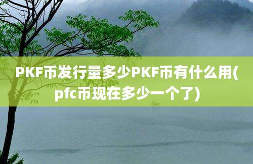 PKF币发行量多少PKF币有什么用(pfc币现在多少一个了)