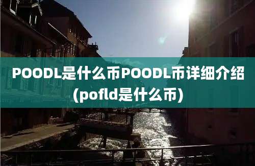 POODL是什么币POODL币详细介绍(pofld是什么币)