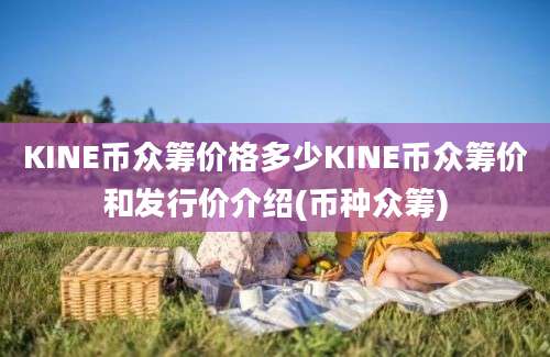 KINE币众筹价格多少KINE币众筹价和发行价介绍(币种众筹)