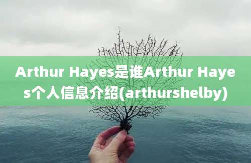 Arthur Hayes是谁Arthur Hayes个人信息介绍(arthurshelby)