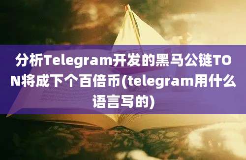 分析Telegram开发的黑马公链TON将成下个百倍币(telegram用什么语言写的)