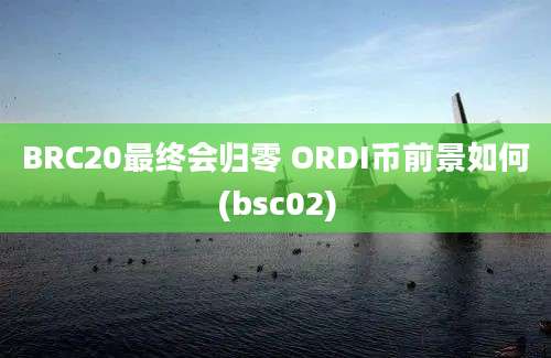 BRC20最终会归零 ORDI币前景如何(bsc02)