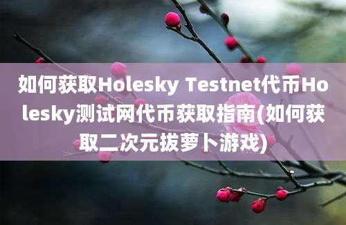 如何获取Holesky Testnet代币Holesky测试网代币获取指南(如何获取二次元拔萝卜游戏)