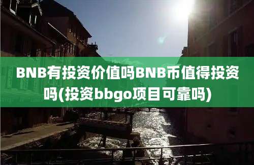 BNB有投资价值吗BNB币值得投资吗(投资bbgo项目可靠吗)