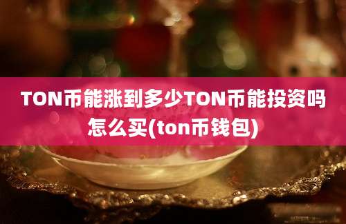 TON币能涨到多少TON币能投资吗怎么买(ton币钱包)