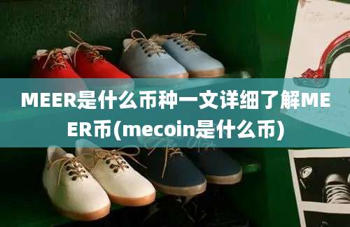 MEER是什么币种一文详细了解MEER币(mecoin是什么币)