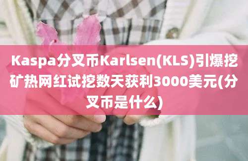 Kaspa分叉币Karlsen(KLS)引爆挖矿热网红试挖数天获利3000美元(分叉币是什么)