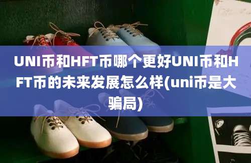 UNI币和HFT币哪个更好UNI币和HFT币的未来发展怎么样(uni币是大骗局)