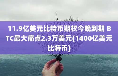 11.9亿美元比特币期权今晚到期 BTC最大痛点2.3万美元(1400亿美元比特币)