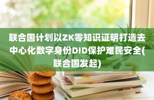 联合国计划以ZK零知识证明打造去中心化数字身份DID保护难民安全(联合国发起)