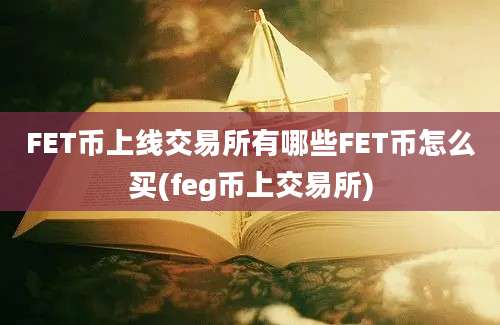 FET币上线交易所有哪些FET币怎么买(feg币上交易所)