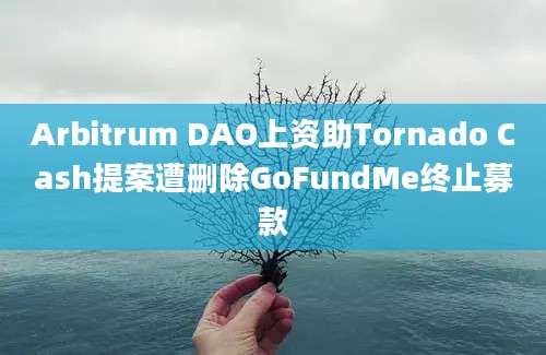 Arbitrum DAO上资助Tornado Cash提案遭删除GoFundMe终止募款