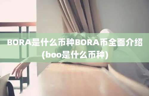 BORA是什么币种BORA币全面介绍(boo是什么币种)