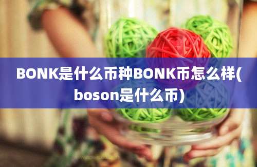 BONK是什么币种BONK币怎么样(boson是什么币)