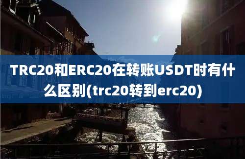 TRC20和ERC20在转账USDT时有什么区别(trc20转到erc20)