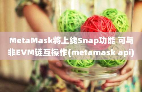 MetaMask将上线Snap功能 可与非EVM链互操作(metamask api)