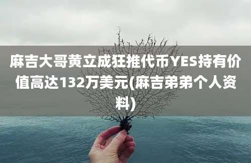 麻吉大哥黄立成狂推代币YES持有价值高达132万美元(麻吉弟弟个人资料)