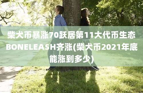 柴犬币暴涨70跃居第11大代币生态BONELEASH齐涨(柴犬币2021年底能涨到多少)