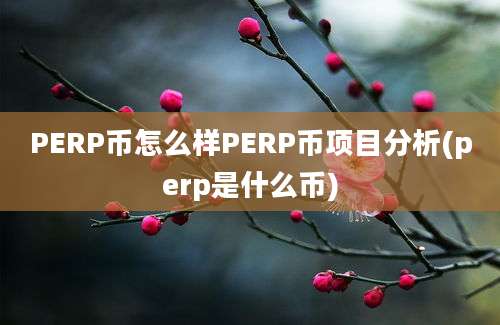 PERP币怎么样PERP币项目分析(perp是什么币)