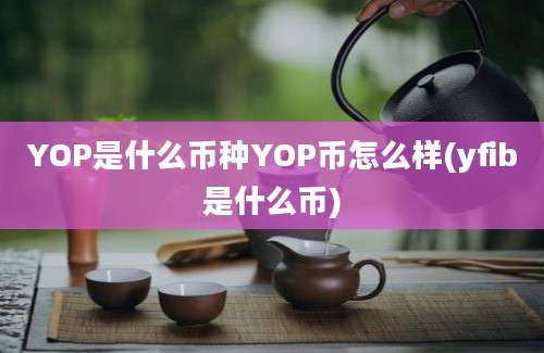 YOP是什么币种YOP币怎么样(yfib是什么币)