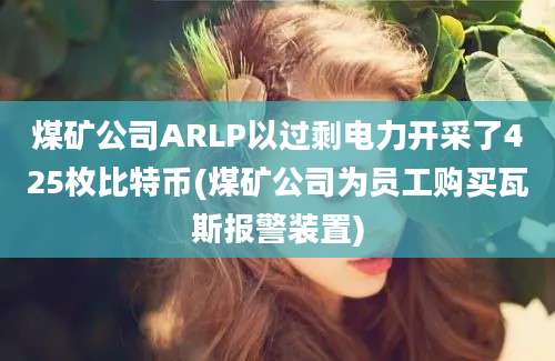 煤矿公司ARLP以过剩电力开采了425枚比特币(煤矿公司为员工购买瓦斯报警装置)