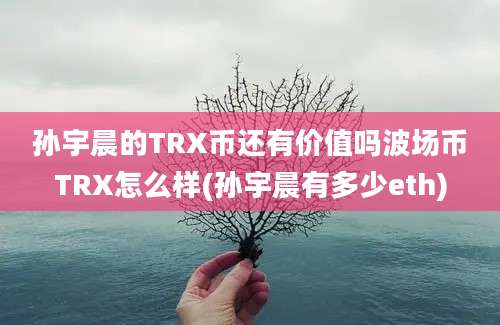 孙宇晨的TRX币还有价值吗波场币TRX怎么样(孙宇晨有多少eth)