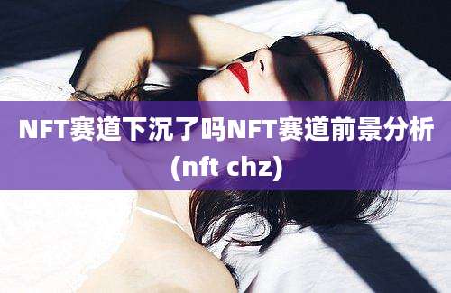 NFT赛道下沉了吗NFT赛道前景分析(nft chz)