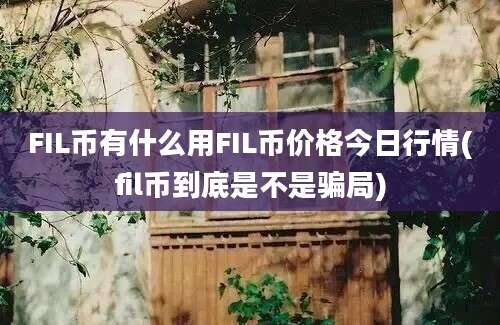 FIL币有什么用FIL币价格今日行情(fil币到底是不是骗局)