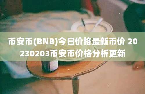 币安币(BNB)今日价格最新币价 20230203币安币价格分析更新