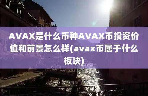 AVAX是什么币种AVAX币投资价值和前景怎么样(avax币属于什么板块)