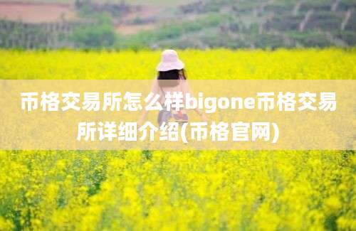 币格交易所怎么样bigone币格交易所详细介绍(币格官网)