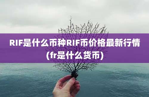 RIF是什么币种RIF币价格最新行情(fr是什么货币)