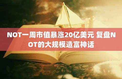 NOT一周市值暴涨20亿美元 复盘NOT的大规模造富神话