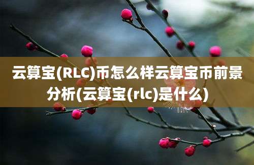 云算宝(RLC)币怎么样云算宝币前景分析(云算宝(rlc)是什么)