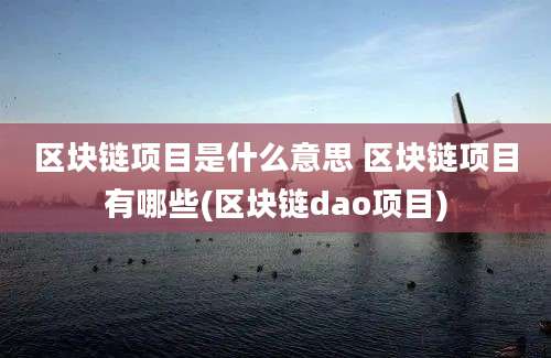 区块链项目是什么意思 区块链项目有哪些(区块链dao项目)