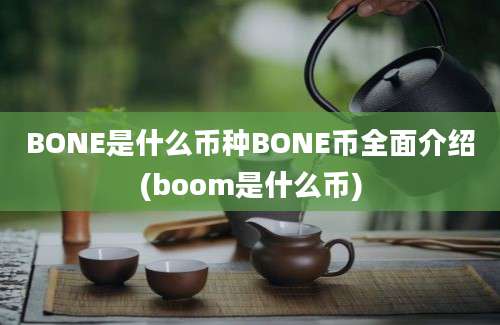 BONE是什么币种BONE币全面介绍(boom是什么币)