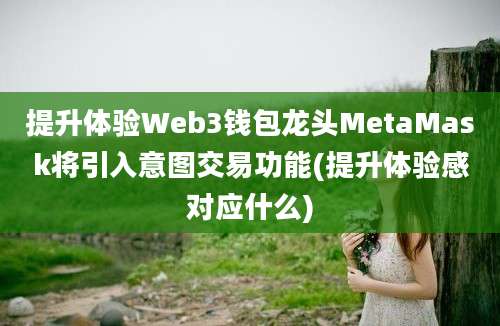 提升体验Web3钱包龙头MetaMask将引入意图交易功能(提升体验感对应什么)