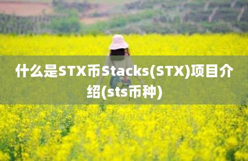 什么是STX币Stacks(STX)项目介绍(sts币种)