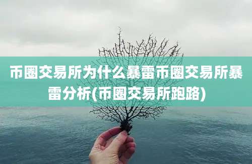 币圈交易所为什么暴雷币圈交易所暴雷分析(币圈交易所跑路)