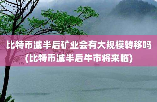 比特币减半后矿业会有大规模转移吗(比特币减半后牛市将来临)