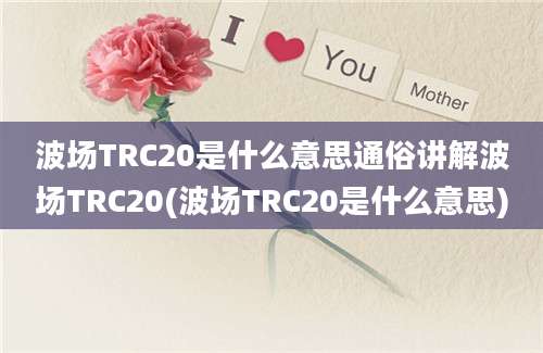 波场TRC20是什么意思通俗讲解波场TRC20(波场TRC20是什么意思)